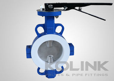 Valvola a farfalla con sede in PTFE concentrica 2-48 pollici Classe 150