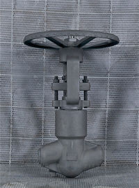 Valvola a sfera in acciaio forgiato PSB CL2500 A105 F11 F22