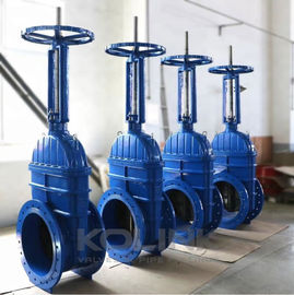 Valvola di accesso del sedile di gomma OS&amp;Y BB Dutile Ferro Servizio Acqua